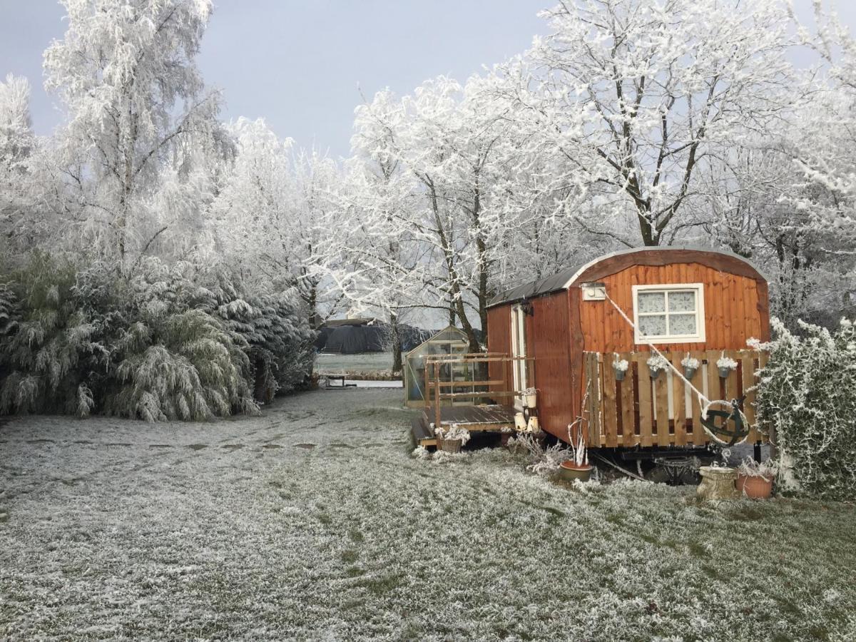 B&B Hetvrijdagsgevoel Sneek Exteriér fotografie